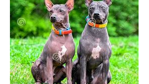 广州网络推广公司地址-网友赵德柱的博客