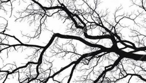 职业网络营销推广企业-网友赵德柱的博客