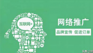 怎样应聘网络推广