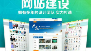 网络商城推广案例-网友赵德柱的博客