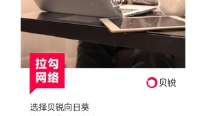 网络推广外包兼职-网友赵德柱的博客