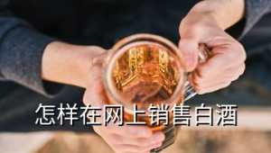 白酒怎么做网络推广-网友赵德柱的博客