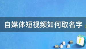 自媒体取名字-网友赵德柱的博客