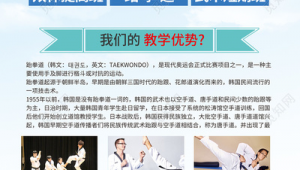 跆拳道培训班网络推广招生-网友赵德柱的博客