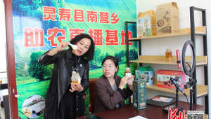 石家庄灵寿网络推广-网友赵德柱的博客