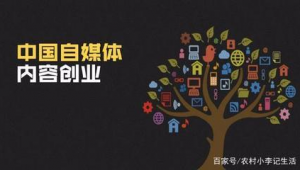 如何当自媒体挣钱-网友赵德柱的博客