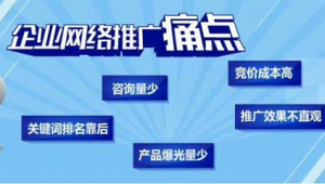 企业网络推广的痛点-网友赵德柱的博客