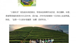 茶叶网络推广大平台