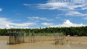 贵阳网络推广新渠道-网友赵德柱的博客