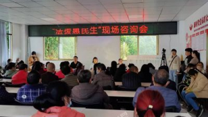 重庆网络推广宣传-网友赵德柱的博客