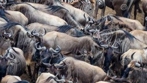 传奇网络推广-网友赵德柱的博客