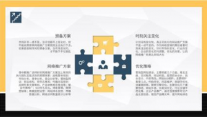 网络推广策划案例ppt