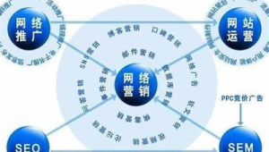 网络推广代运营的优势-网友赵德柱的博客