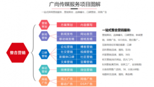 网络推广整体方案-网友赵德柱的博客