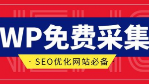 清远市SEO
