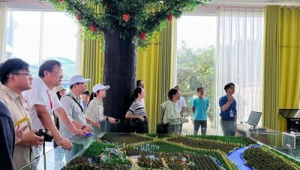 钦州荔枝的网络推广-网友赵德柱的博客