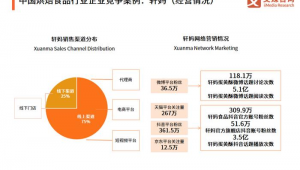 京东网络营销推广现状-网友赵德柱的博客