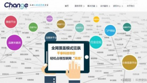 网络推广引流代运营-网友赵德柱的博客