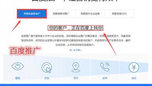 聊城网络建设推广优化-网友赵德柱的博客
