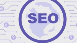 宝坻区seo网络优化推广-网友赵德柱的博客