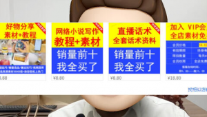 淘宝店铺网络推广-网友赵德柱的博客