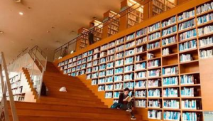 浦东图书馆网络推广书籍