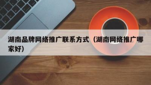 湖南网络推广公司电话-网友赵德柱的博客