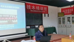 襄樊网络推广人-网友赵德柱的博客