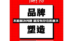 拼多多网络推广方案-网友赵德柱的博客