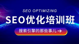 seo优化网络推广哪家好-网友赵德柱的博客
