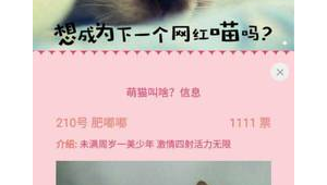 宠物自媒体-网友赵德柱的博客