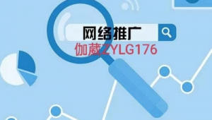 竞价账号网络推广-网友赵德柱的博客