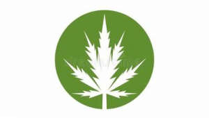 怎么网络推广软件-网友赵德柱的博客