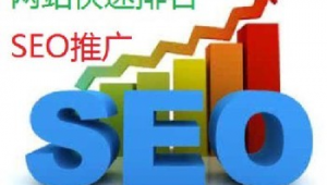 湖北网络推广代运营-网友赵德柱的博客