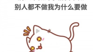 兼职猫 网络推广