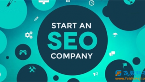 石家庄seo网络推广平台