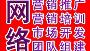 潍坊网络推广新方式-网友赵德柱的博客