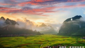 宜州区网络推广-网友赵德柱的博客