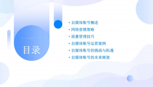 自媒体账号运营
