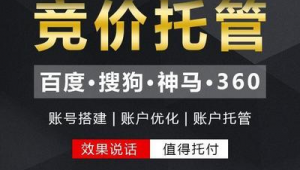 搜狗竞价托管网络推广-网友赵德柱的博客