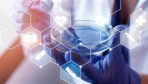 长沙网络营销推广公司