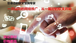 网络营销推广例子-网友赵德柱的博客