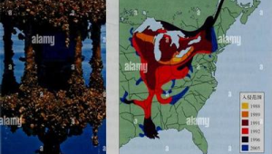 网络公司做推广技巧-网友赵德柱的博客