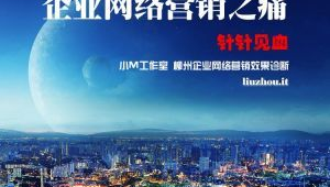 柳州网络推广营销-网友赵德柱的博客