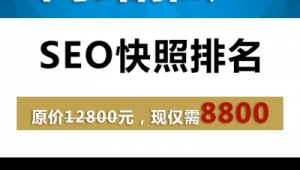 武汉seo网络推广价格