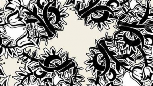 最新营销网络推广-网友赵德柱的博客