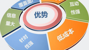 淮南网络营销推广-网友赵德柱的博客