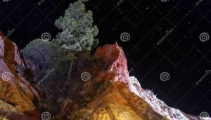 怎样网络推广产品