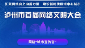 泸州网络推广-网友赵德柱的博客