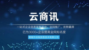 聊城市百度seo